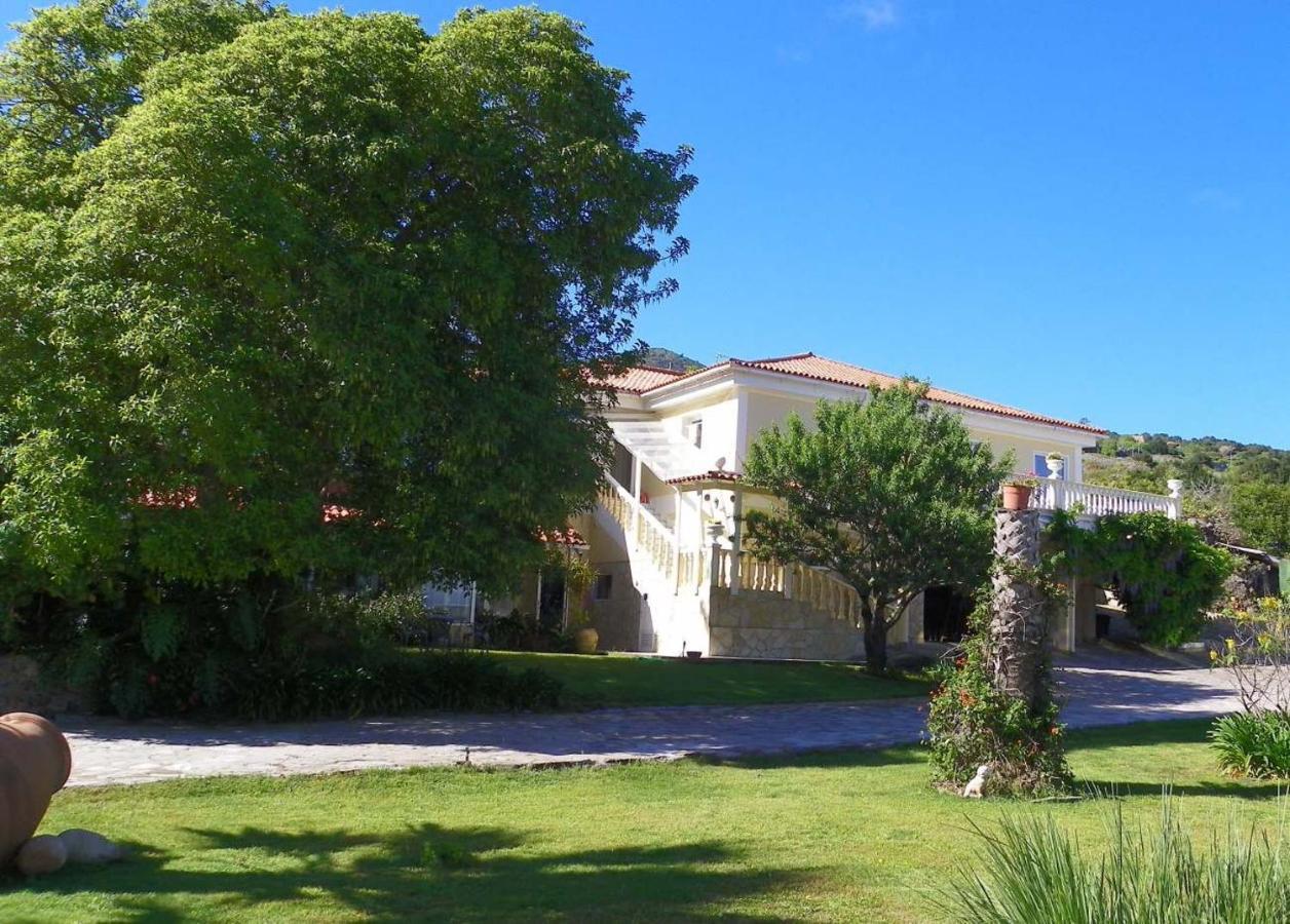 Casa-Palo-Pique Διαμέρισμα Icod De Los Vinos Εξωτερικό φωτογραφία